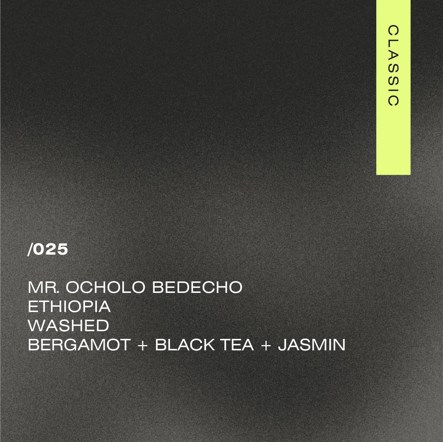 /025 Ethiopia — Mr. Ocholo Bedecho