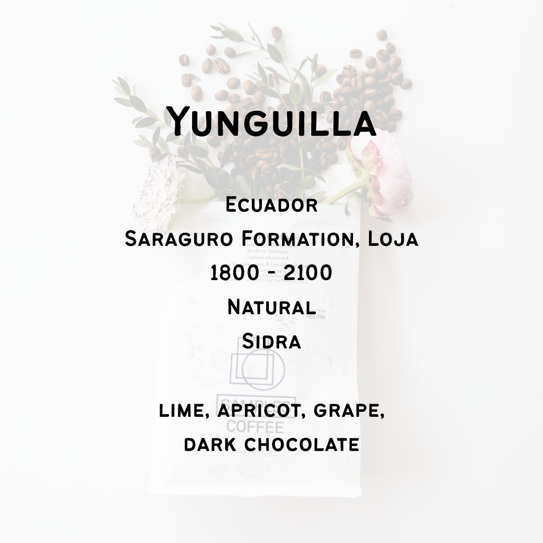 Yunguilla