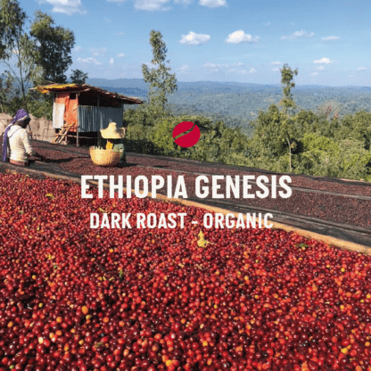 Ethiopia Genesis