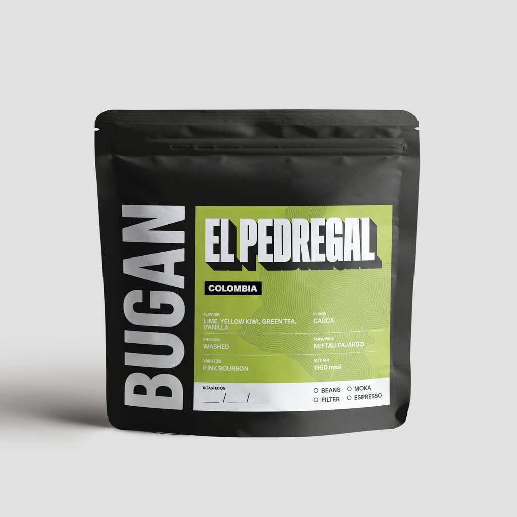 El Pedregal