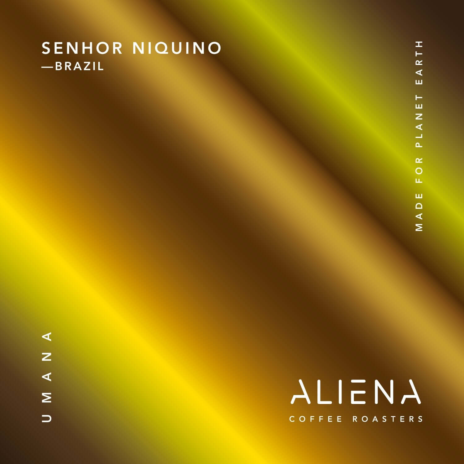 Senhor Niquino / Brasile