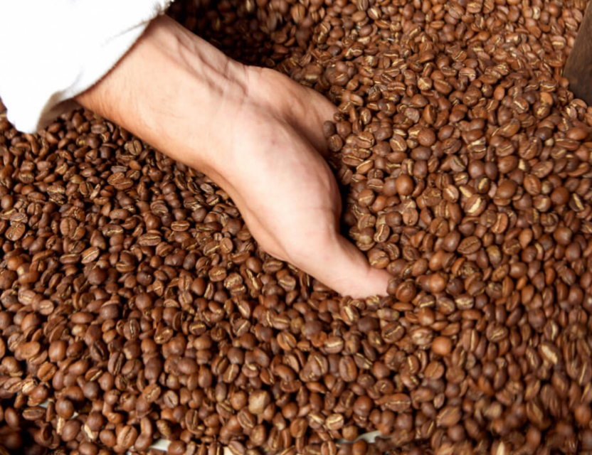 Seekind Coffee — Ravensburg