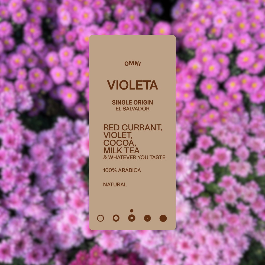 Violeta - Omni