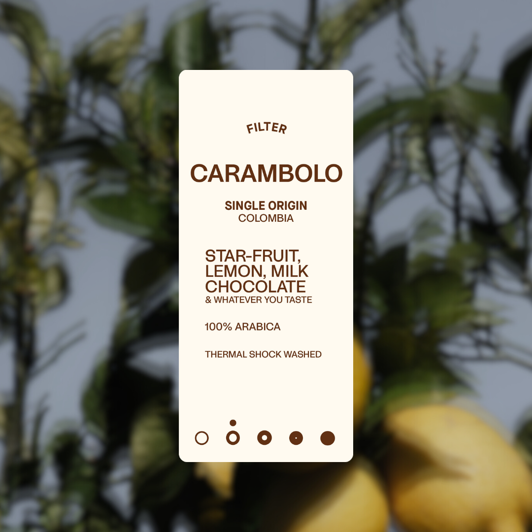 CARAMBOLO - Filter