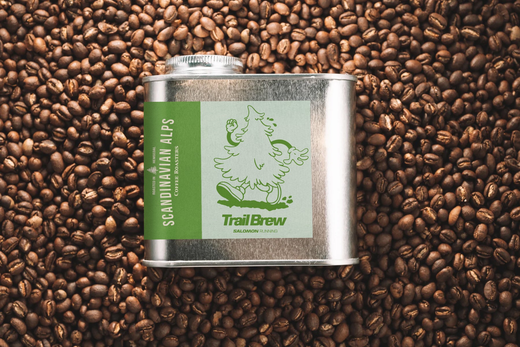 X Salomon Trail Brew