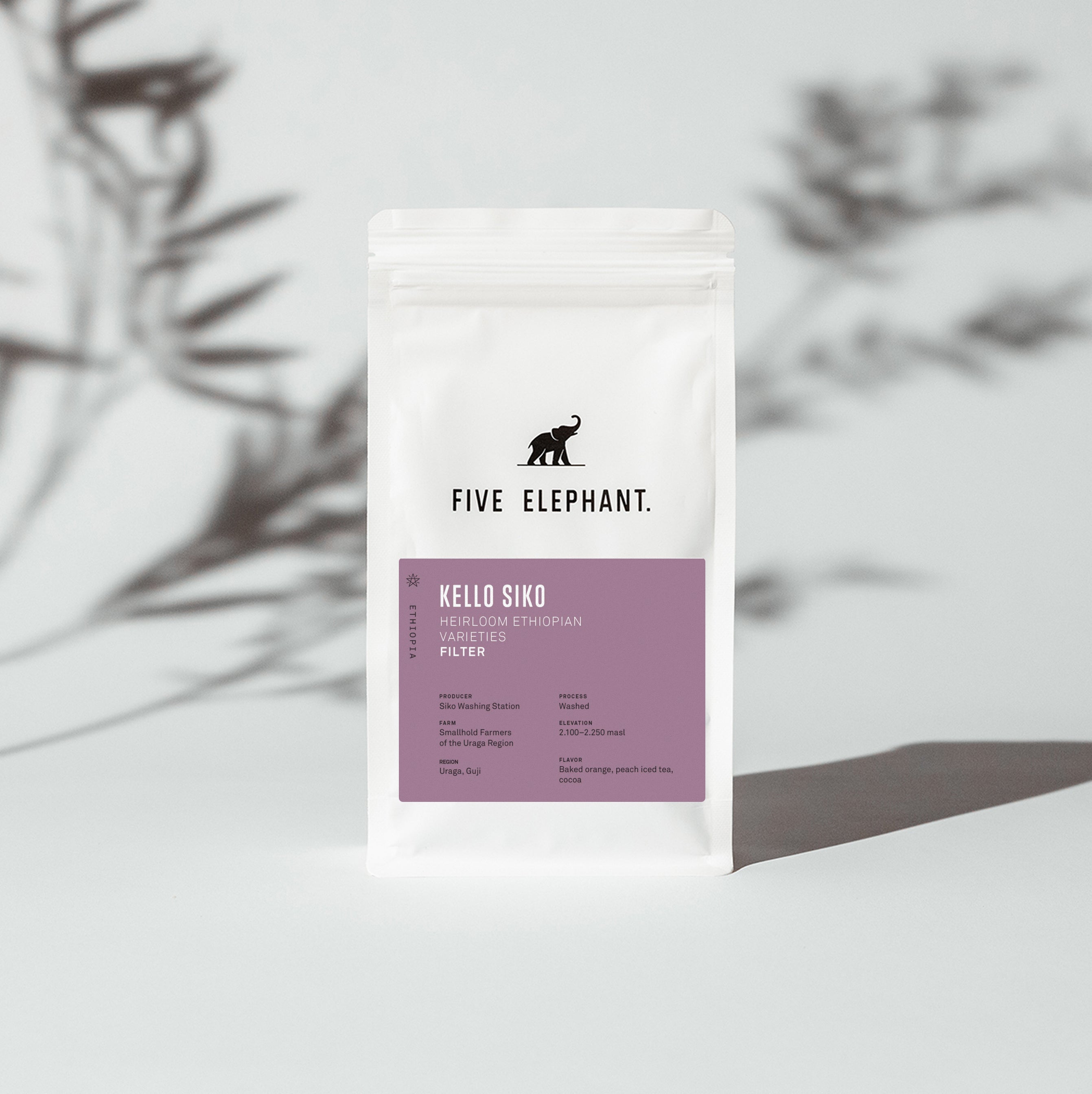 ETHIOPIA Kello Siko – Filter