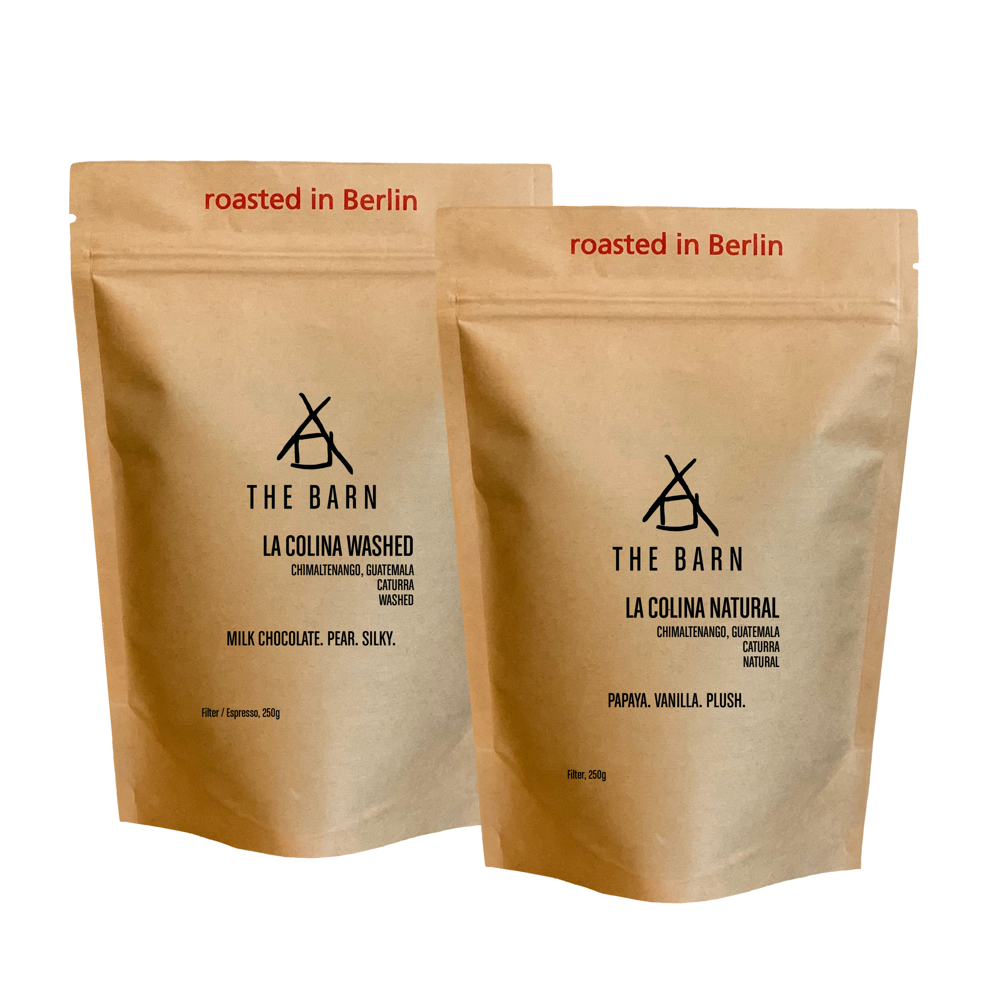 GUATEMALA TWIN BOX