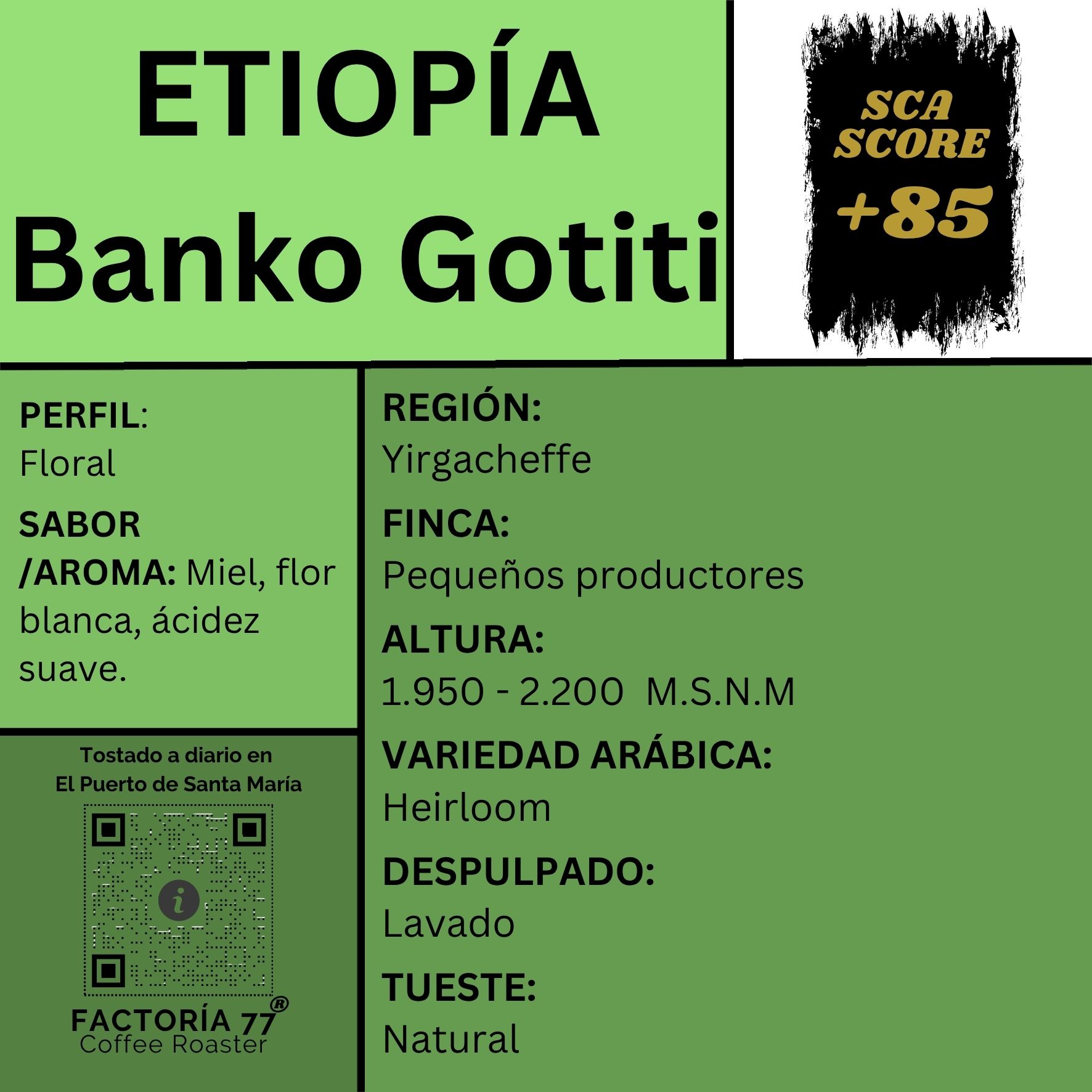 Etiopía Banko Gotiti
