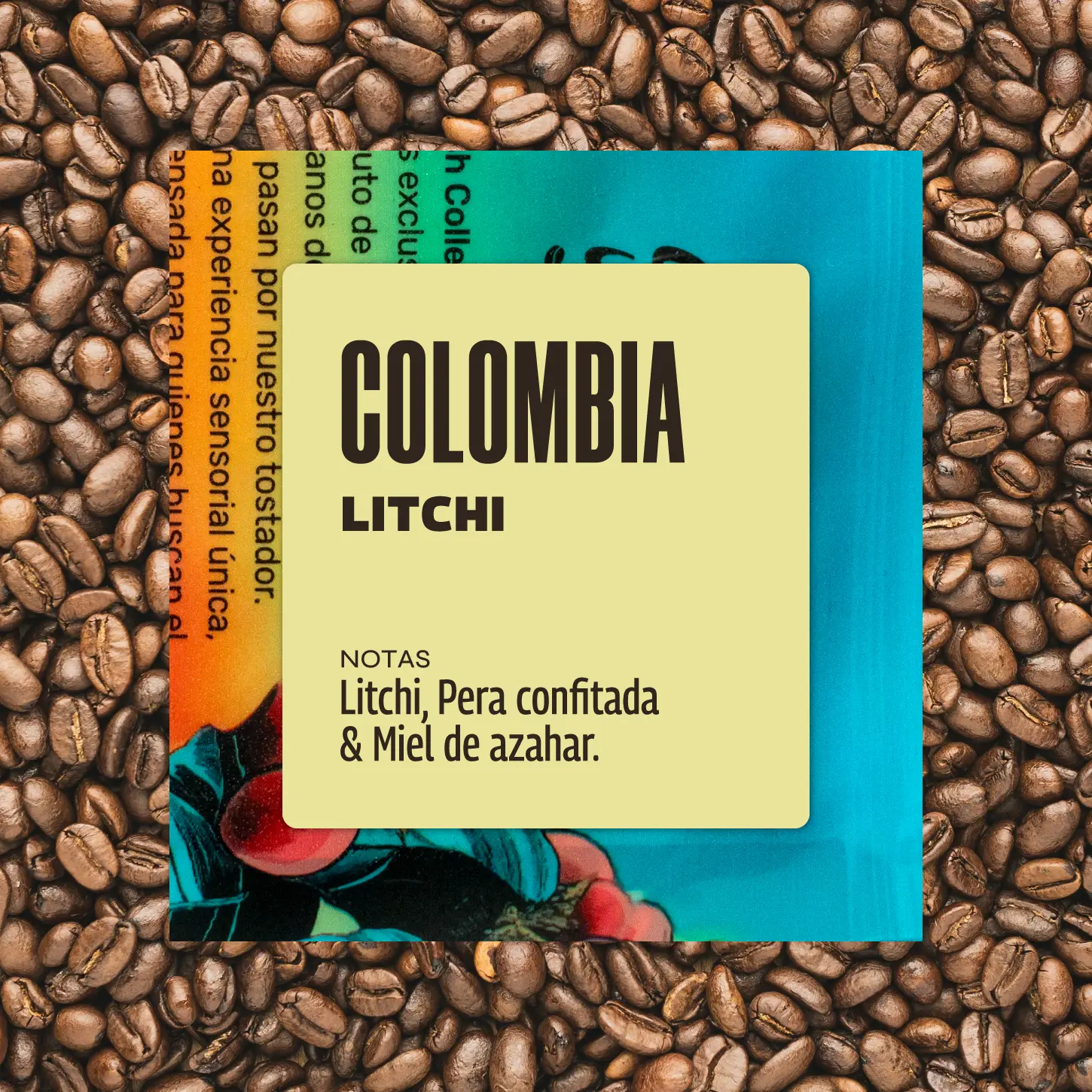 Colombia Litchi