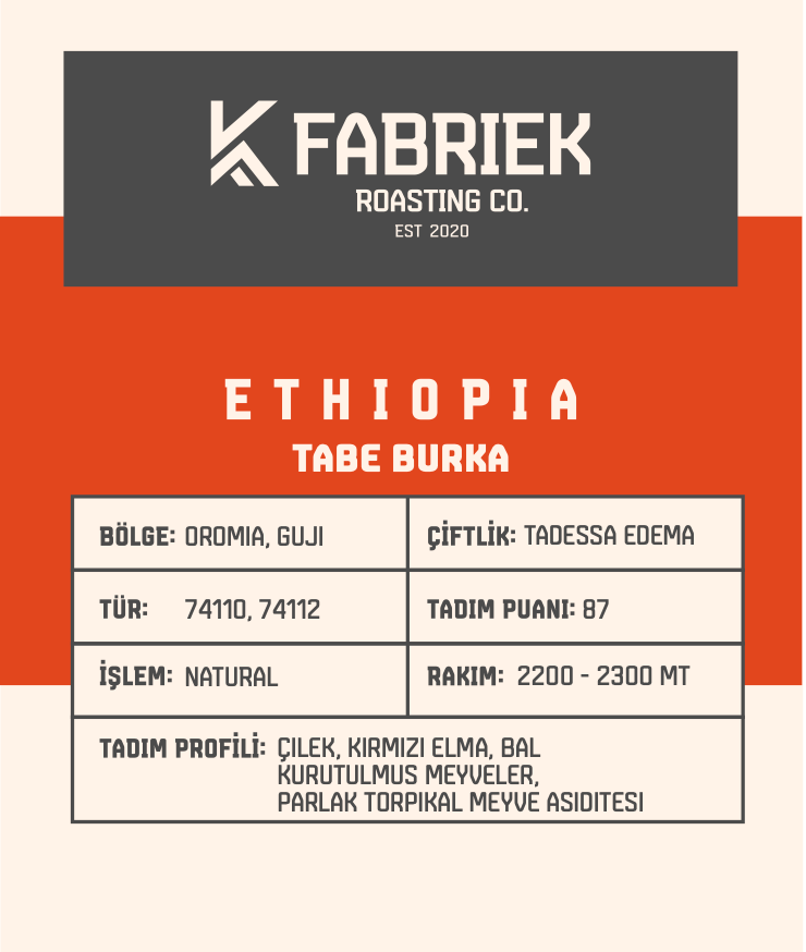 Ethiopia Tabe Burka