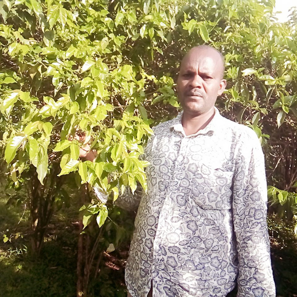Bekele Yutute - Natural - Ethiopia - 2025