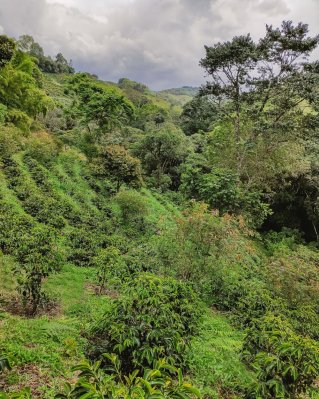 Colombia, Juan Martin