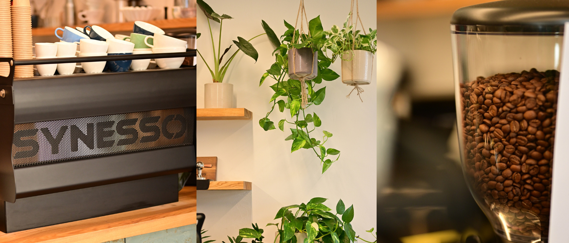 KIKAFE — Olomouc (roastery & espresso bar)