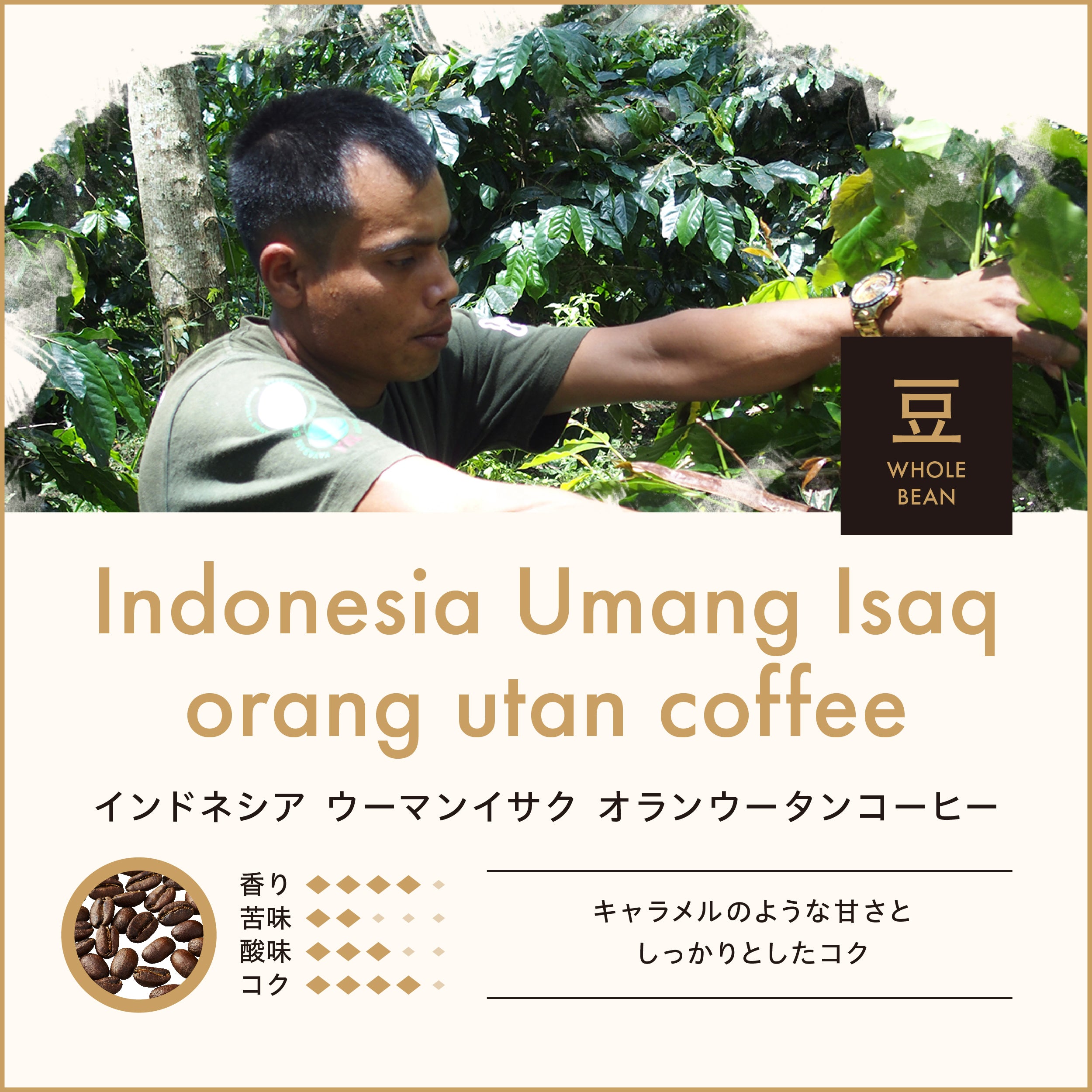 Indonesia Woman Isaak Orangutan Coffee