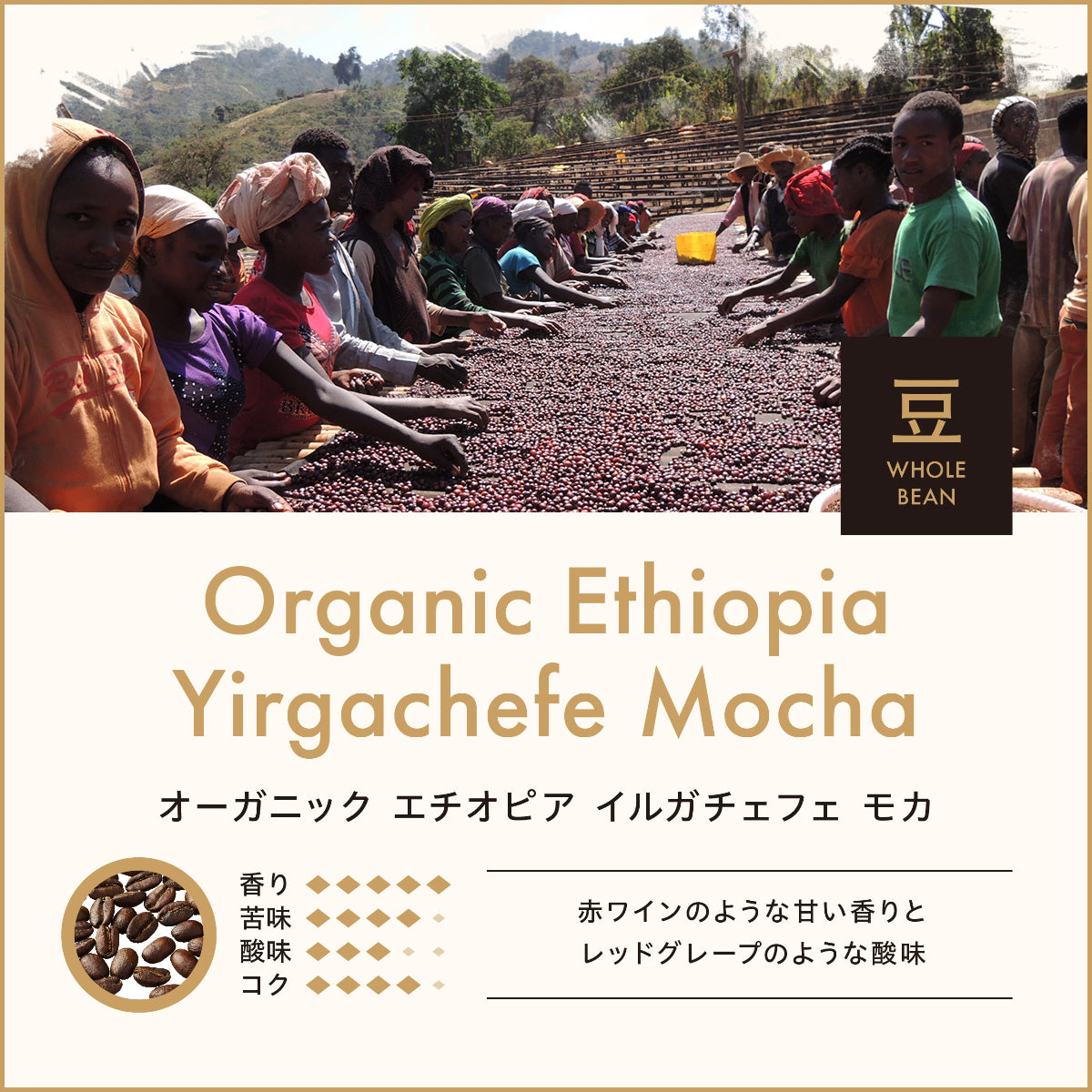 Organic Ethiopia Yirgacheffe Mocha