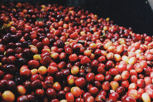 aoma coffee