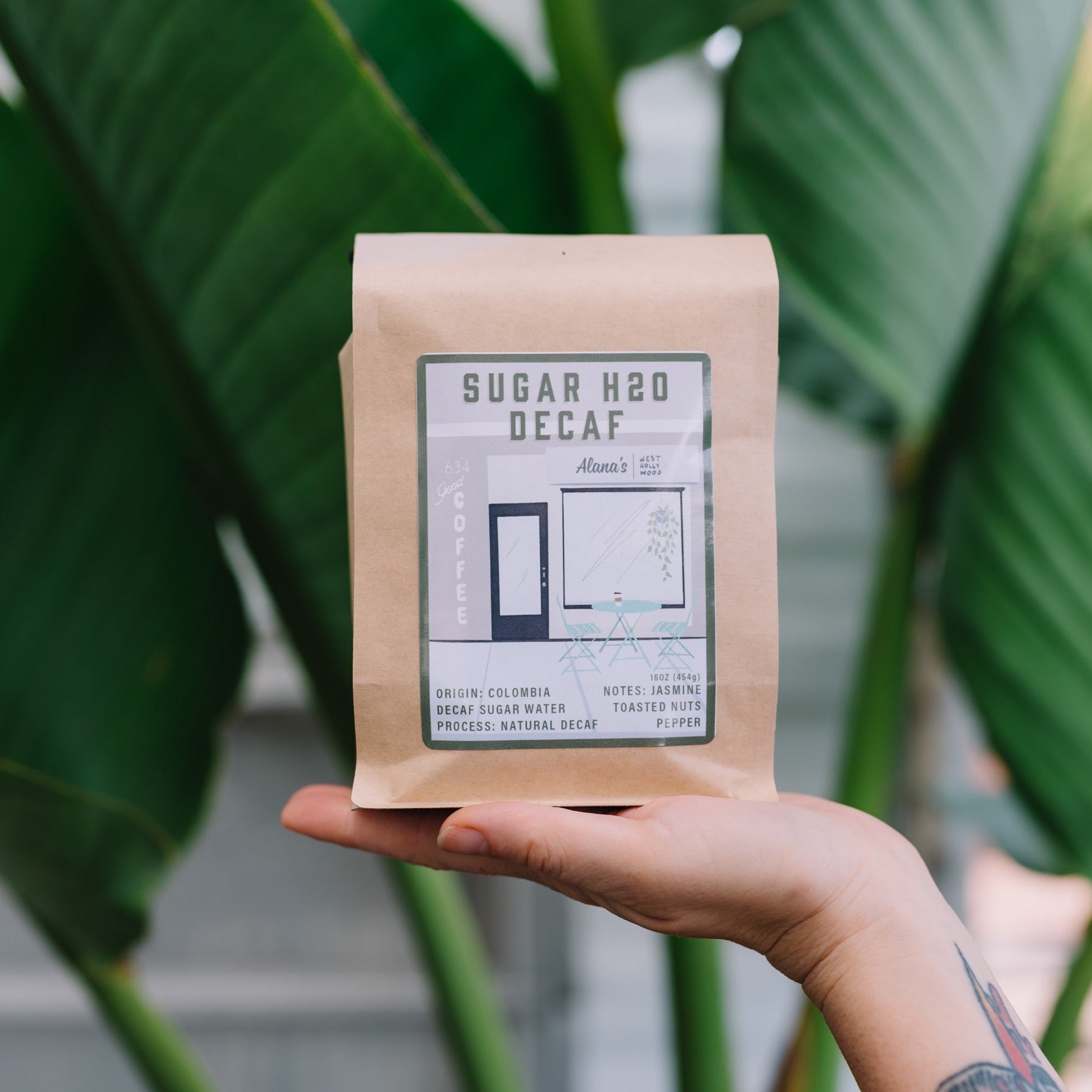 Colombian Sugar Cane E.A. Natural Decaf