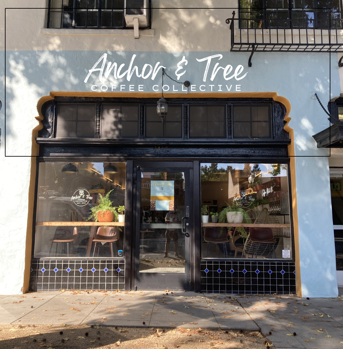 Anchor & Tree Coffee Roasting Co.