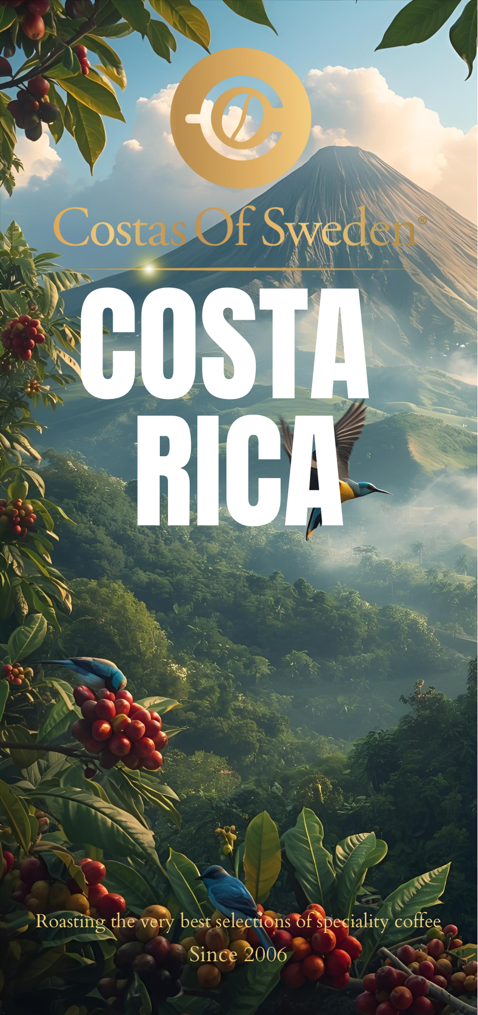 Costa Rica Las Lajas Experimental Honey (250gr) 86p