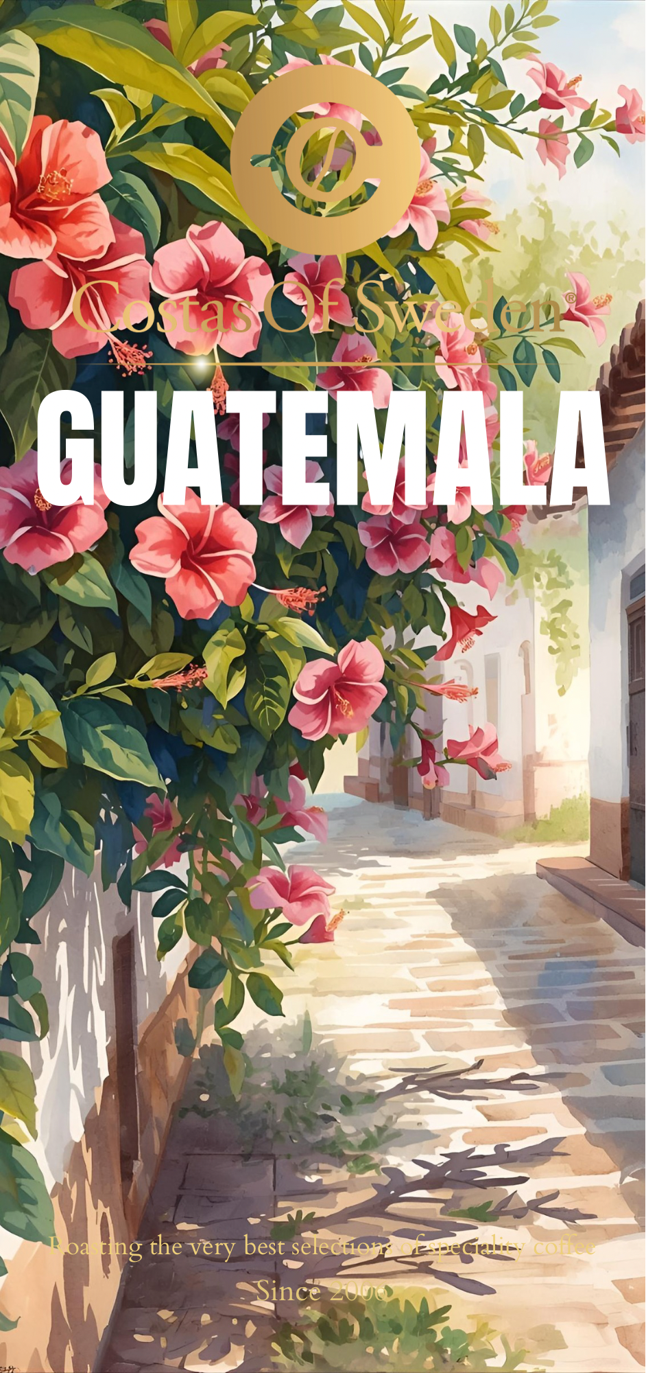 Guatemala Oriente Washed(250gr) 84p