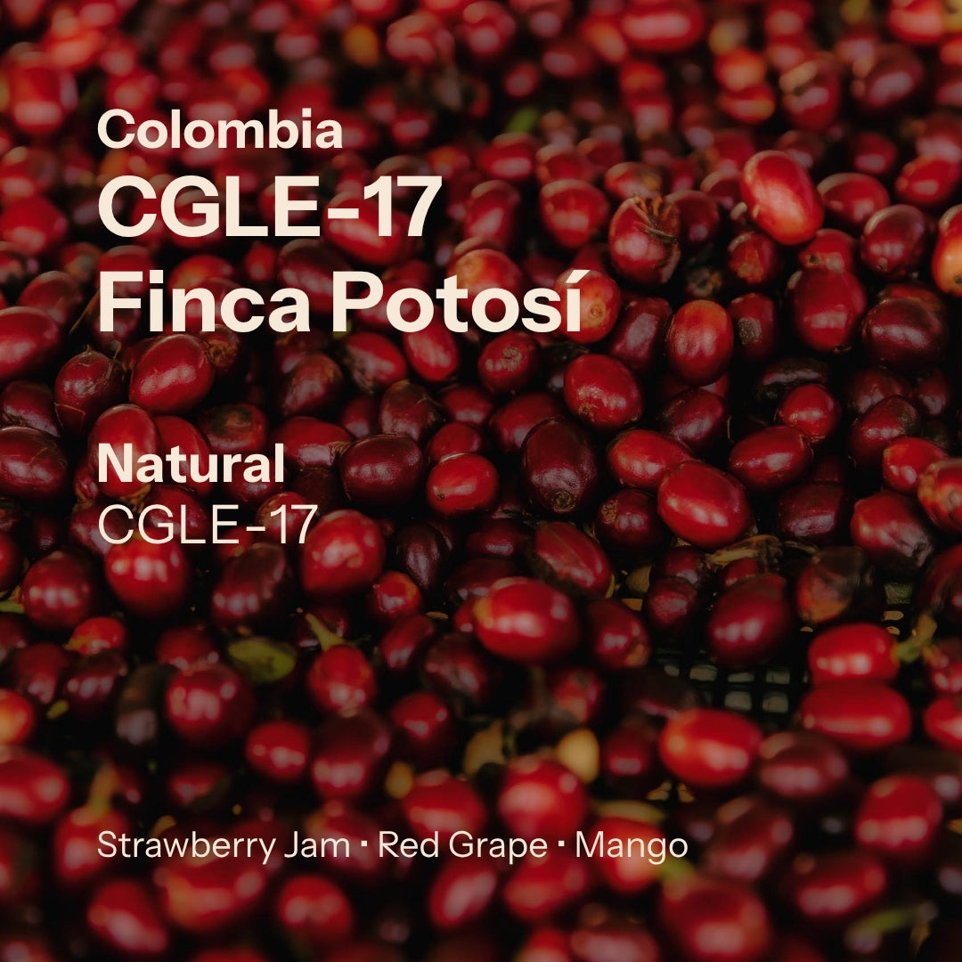 Finca Potosí - CGLE17 Natural - Cafe Granja La Esperanza