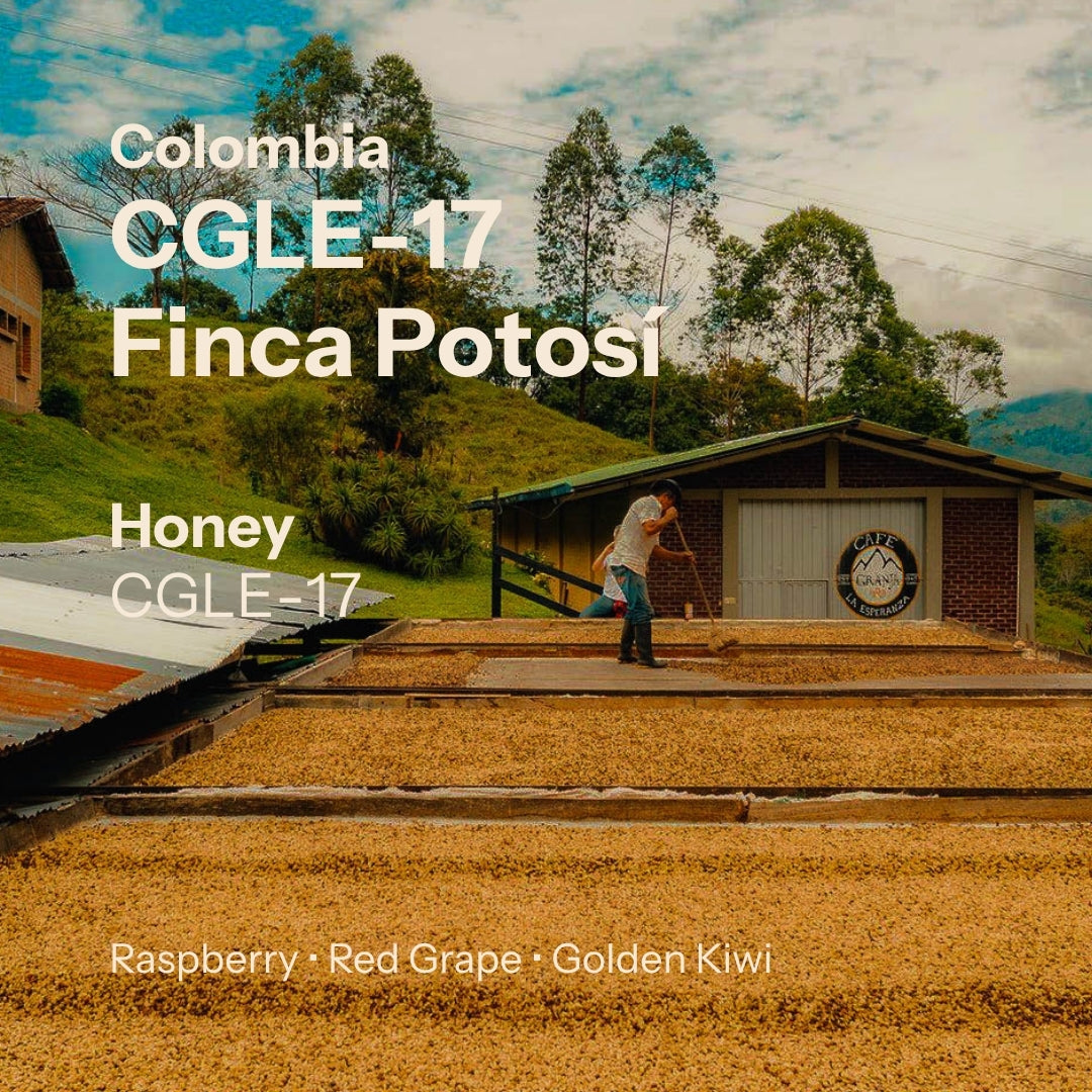 Finca Potosí - CGLE17 Honey - Cafe Granja La Esperanza