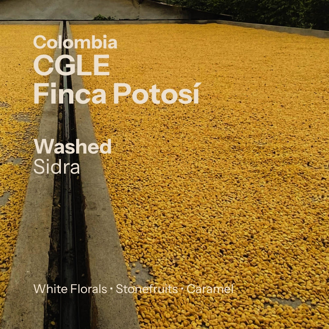 Finca Potosí - Washed Sidra - Cafe Granja La Esperanza