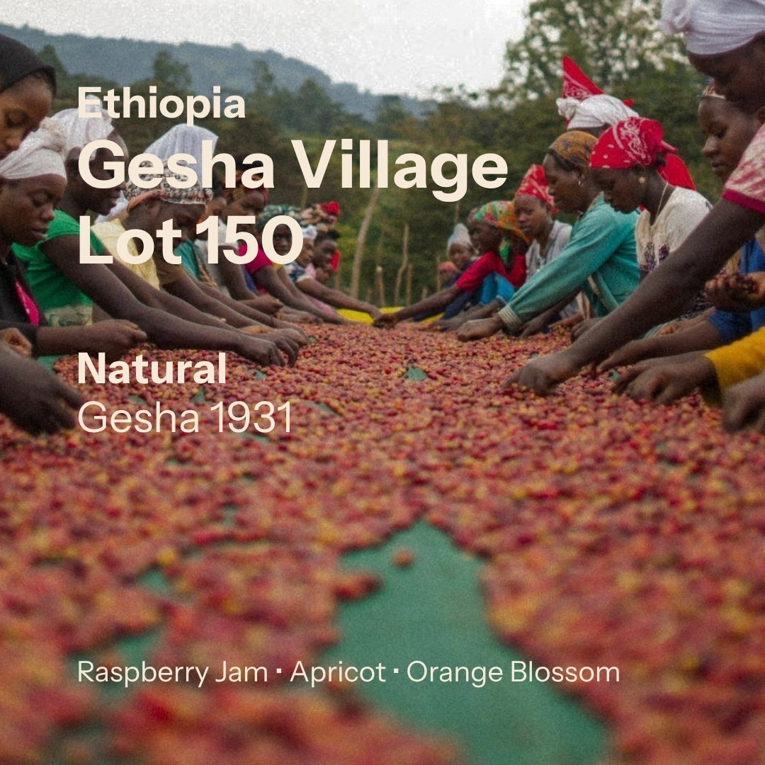 Gesha Village - Oma Lot 150 - Natural Gesha 1931