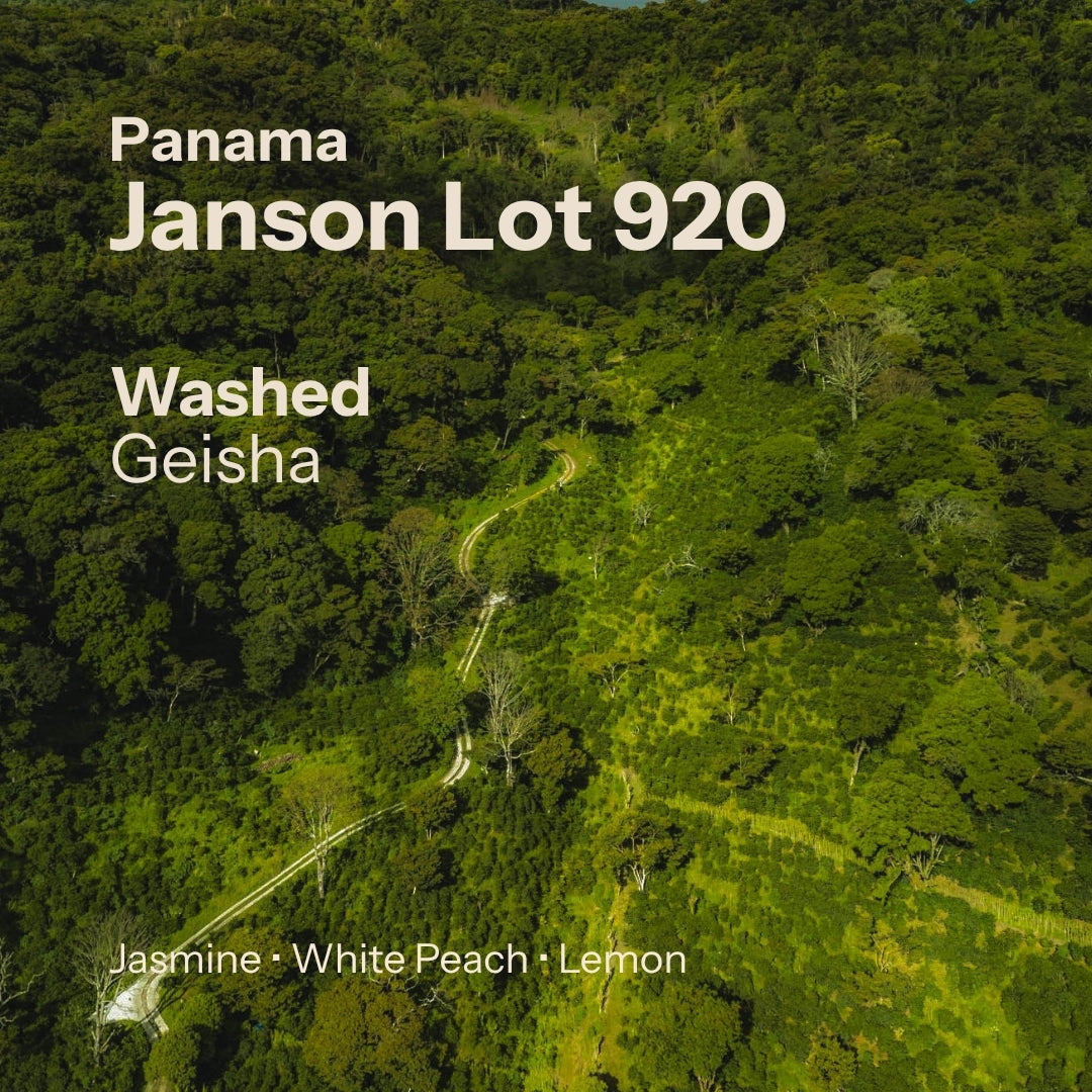 Janson Alpes - Geisha Washed 920 - Chiriqui