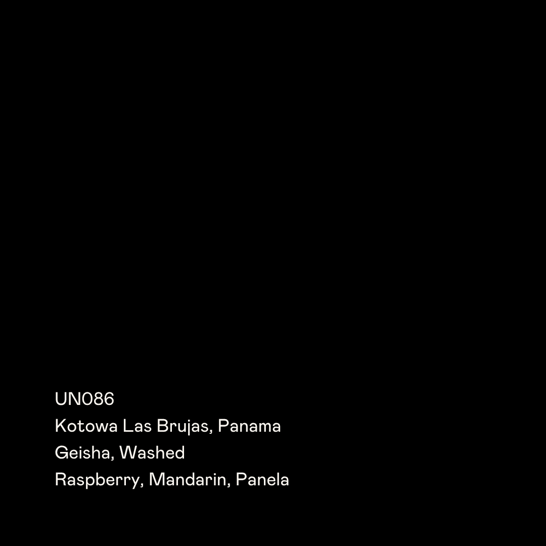UN086 - Kotowa Las Brujas, Geisha Washed