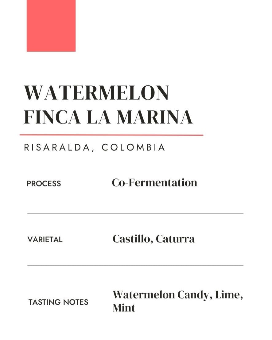 Finca La Marina Watermelon