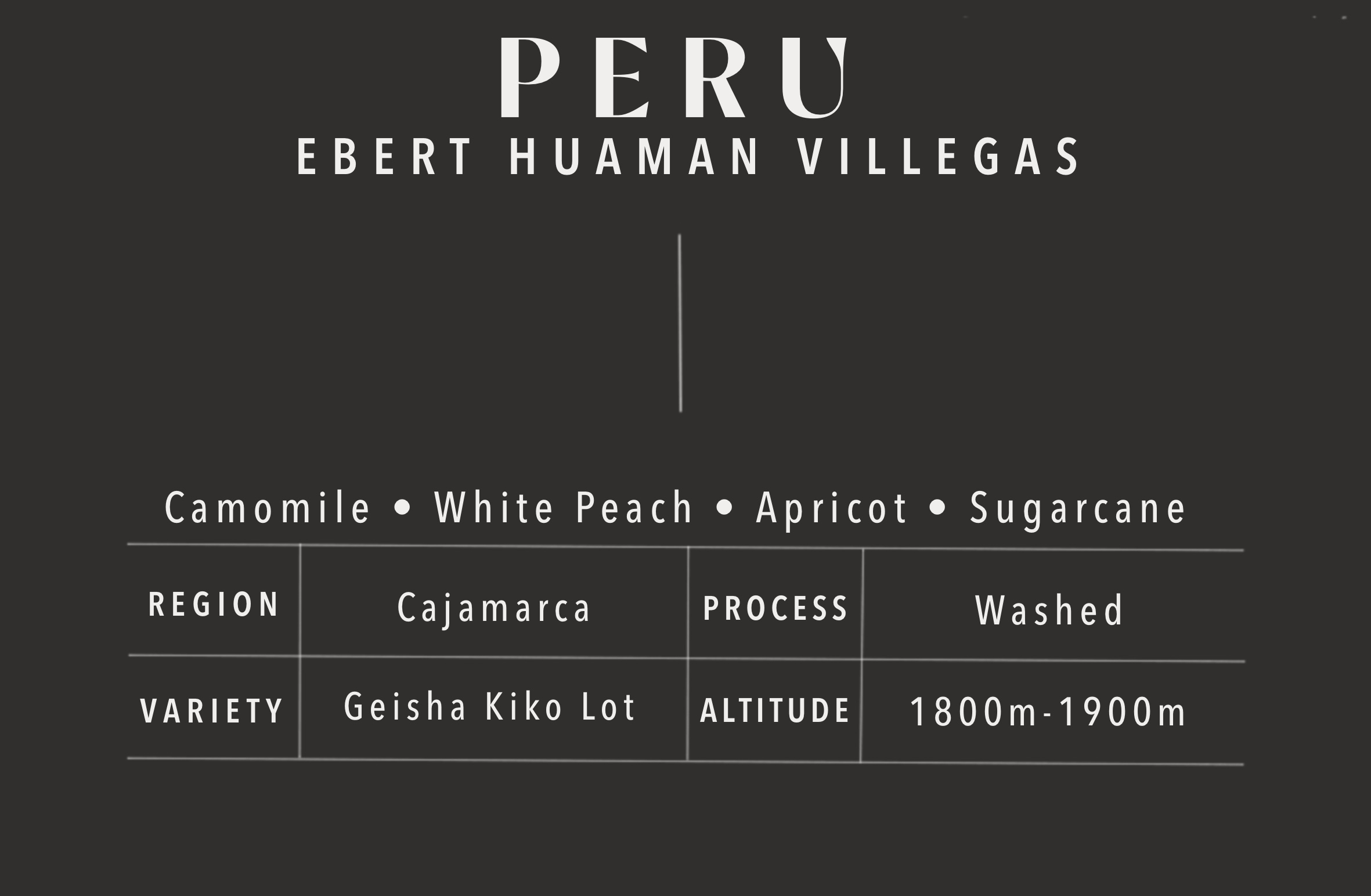 Ebert Huaman Villegas