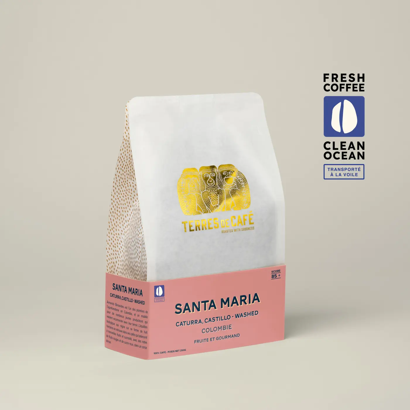 Finca Santa Maria - Caturra Lavé