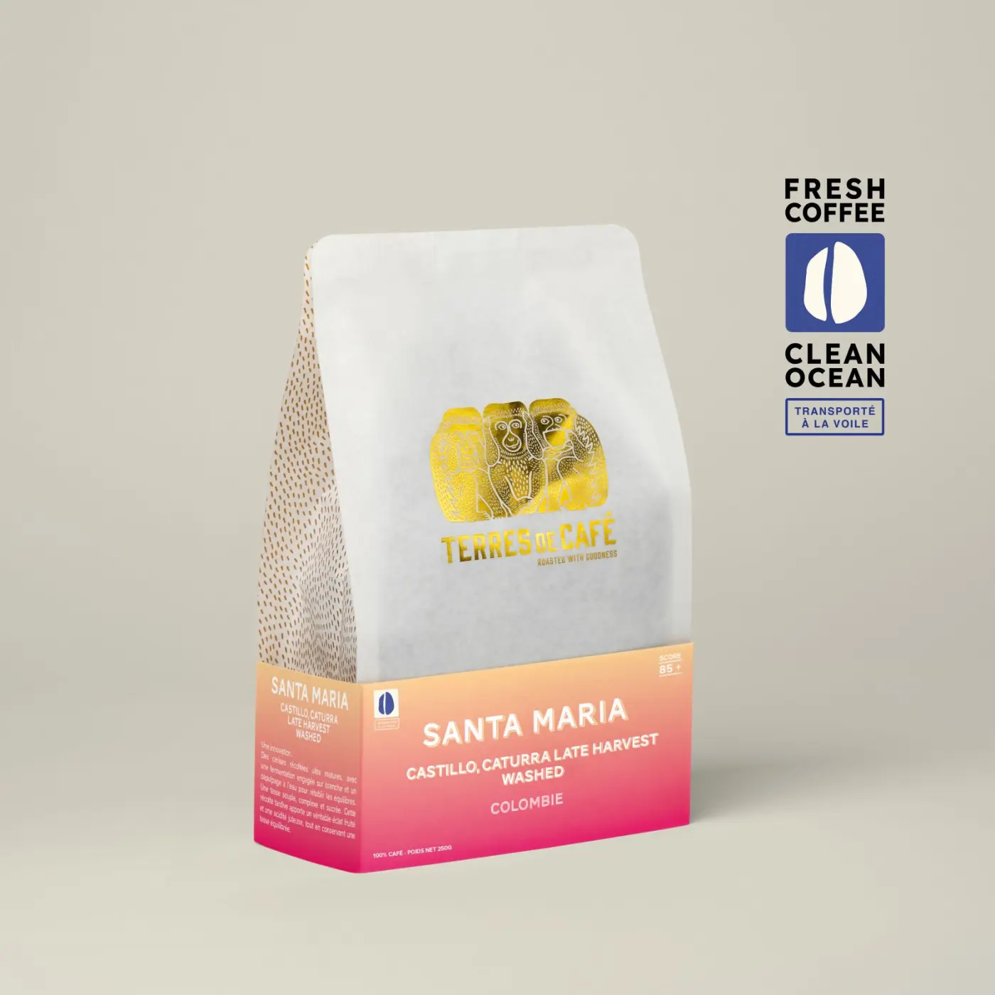 Finca Santa Maria - Castillo Caturra Late Harvest Washed