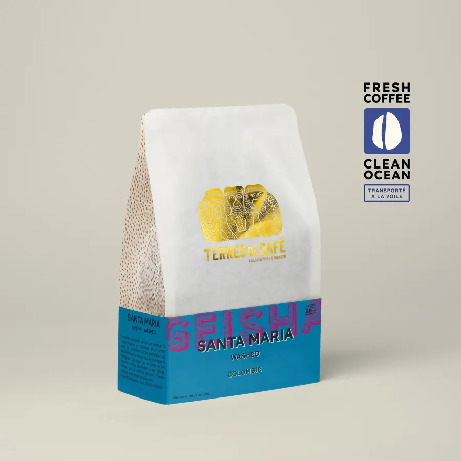Finca Santa Maria - Geisha Lavé