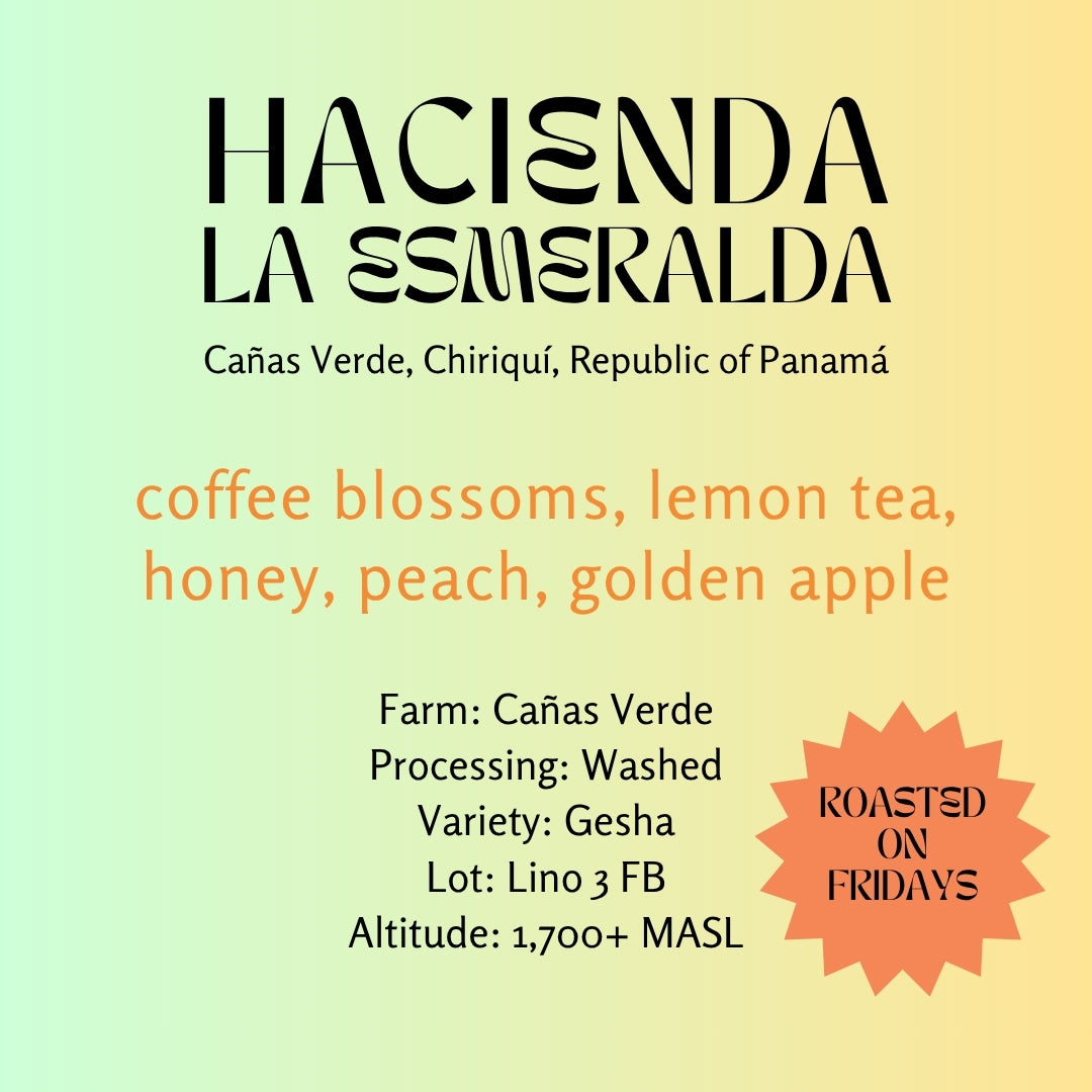 Hacienda La Esmeralda - Washed Gesha Especial Lino 3 FB - Panama