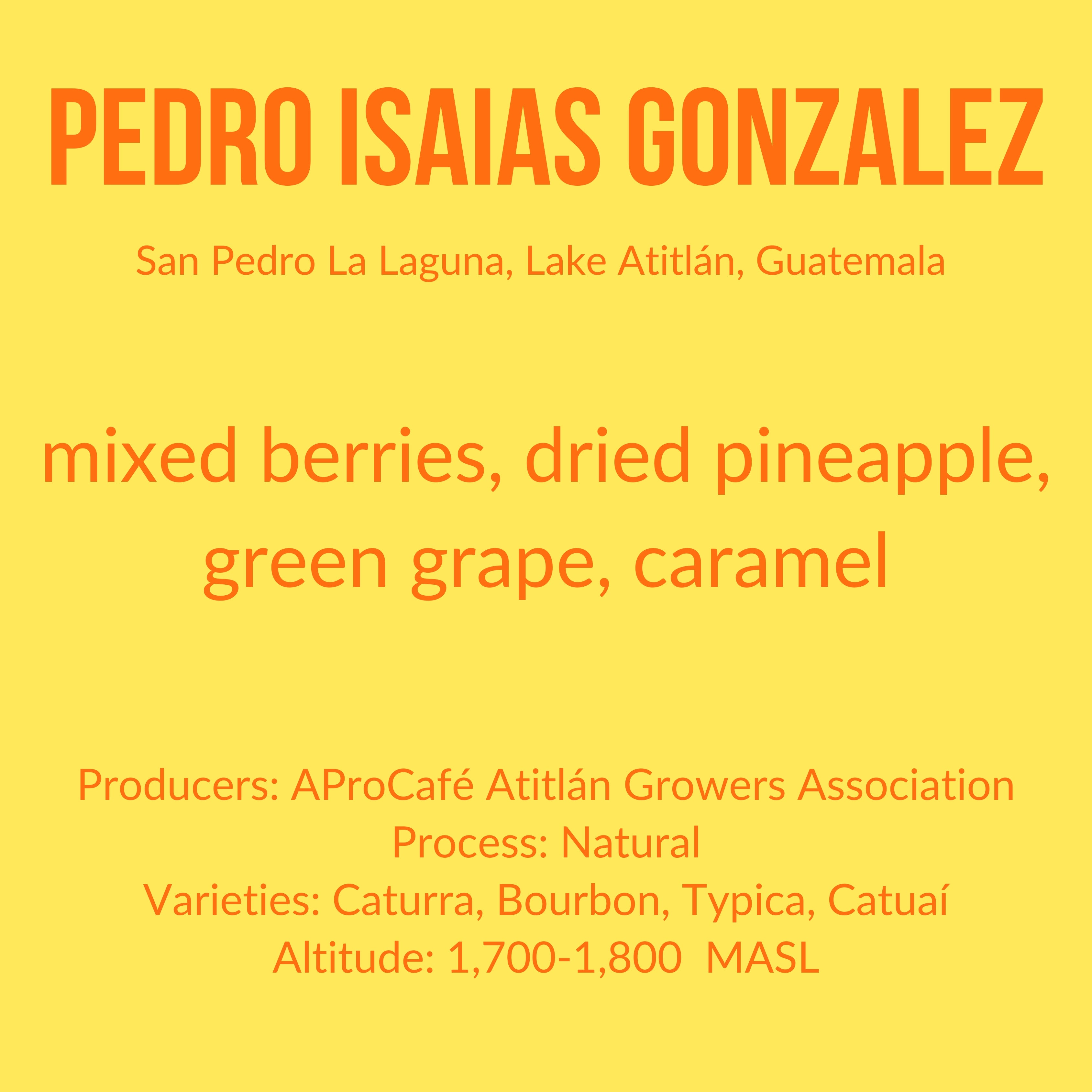 Pedro Isaías Gonzalez - Natural - Guatemala