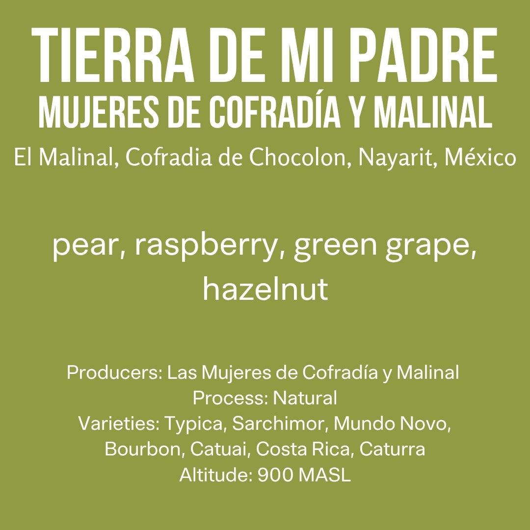 Tierra de Mi Padre: Mujeres de Cofradía y Malinal, Natural, Mexico