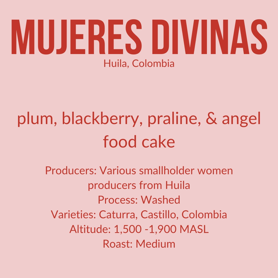 Mujeres Divinas - Colombia