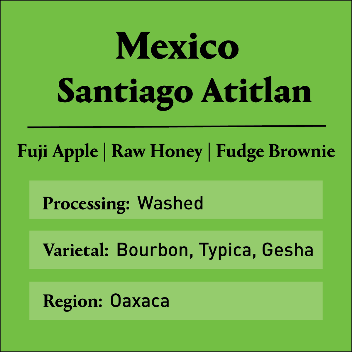 Mexico Santiago Atitlan