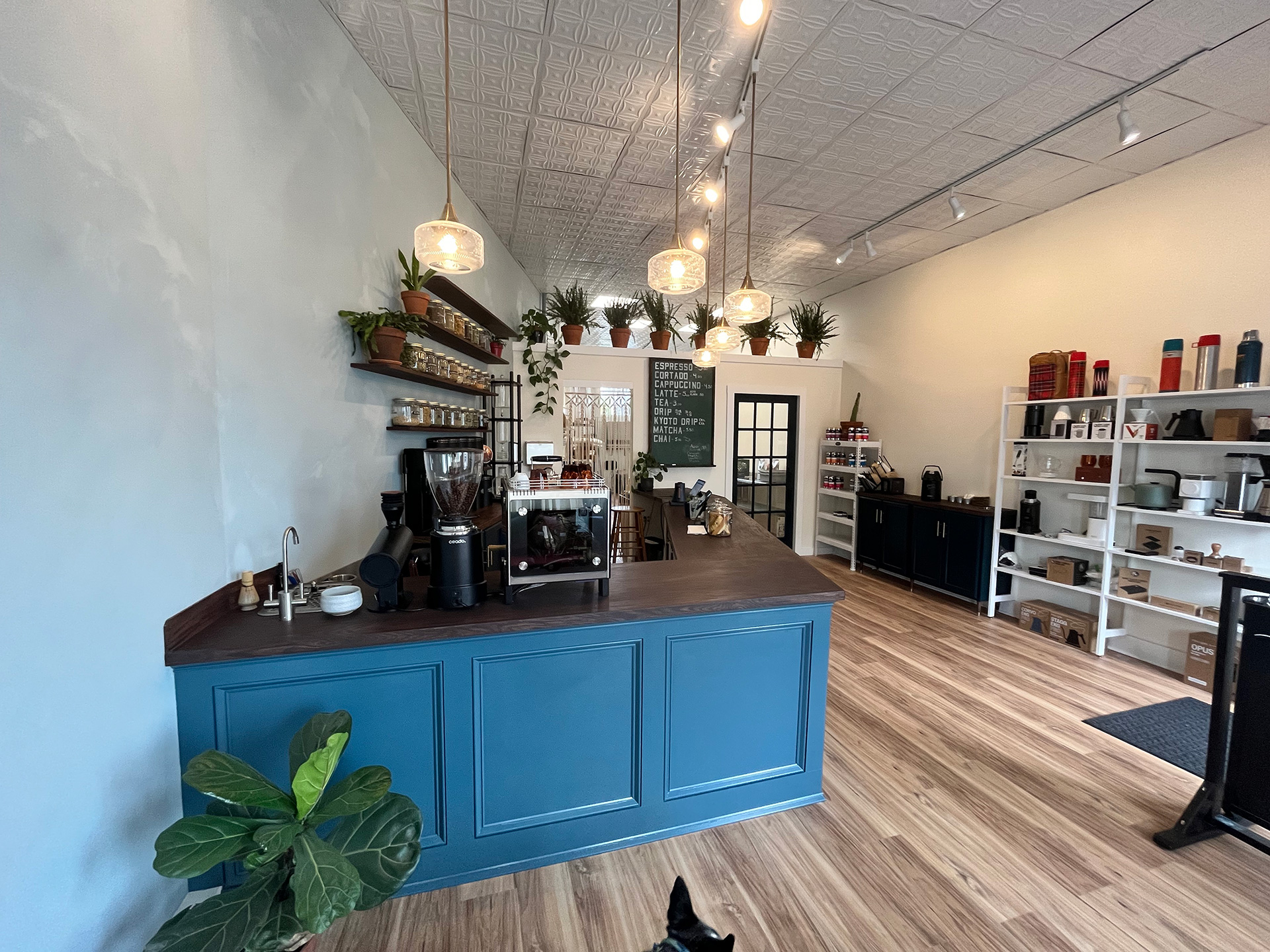 Tern Coffee & Tea – Brunswick