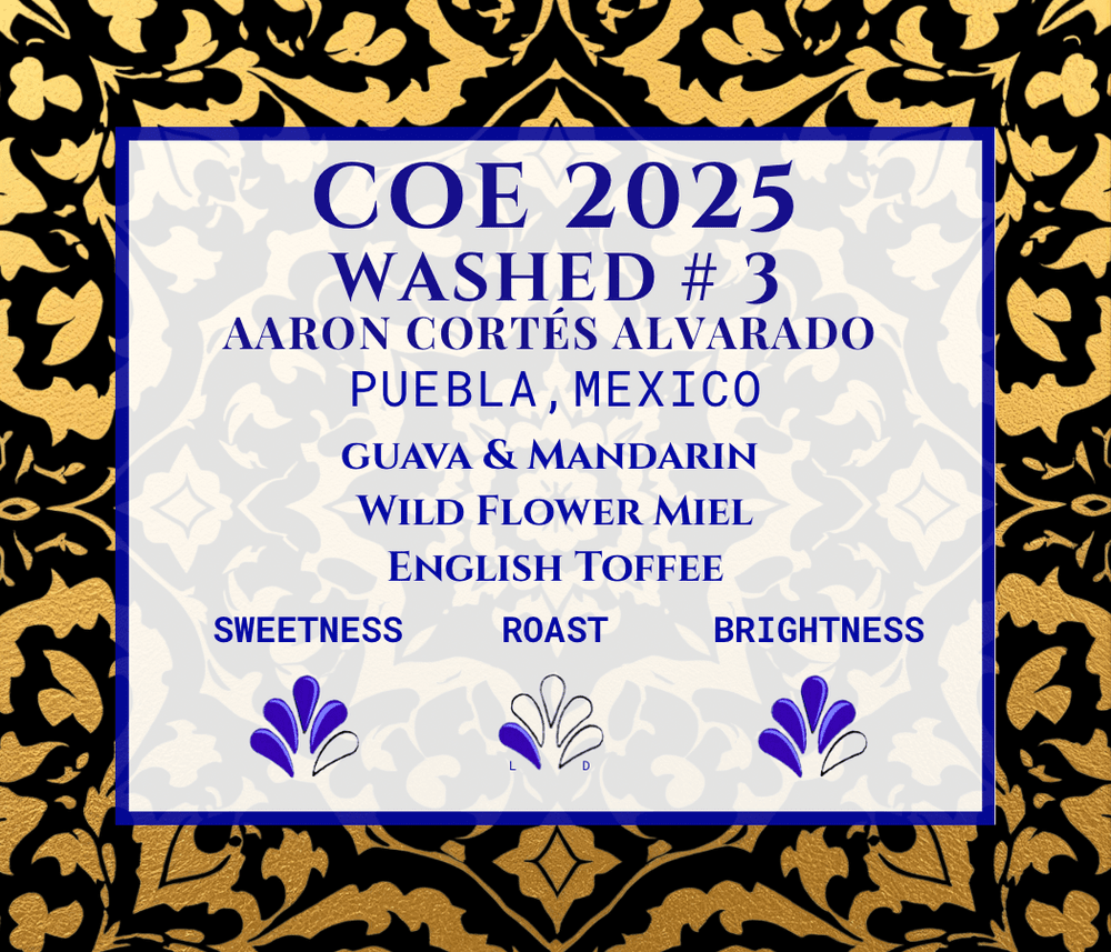 Exclusive COE - Washed #3 - Puebla, MX - LIMITED RELEASE
