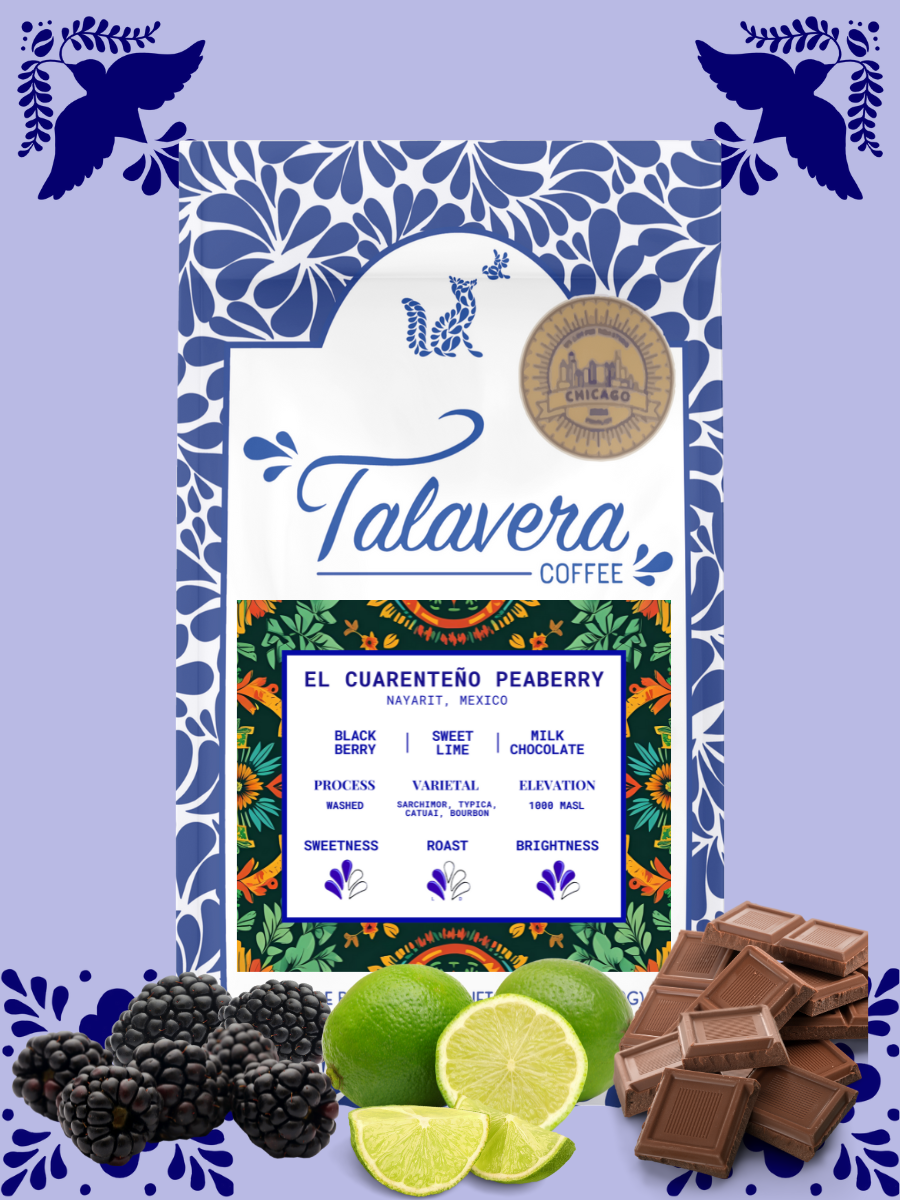 El Cuarenteño Peaberry- Mexico