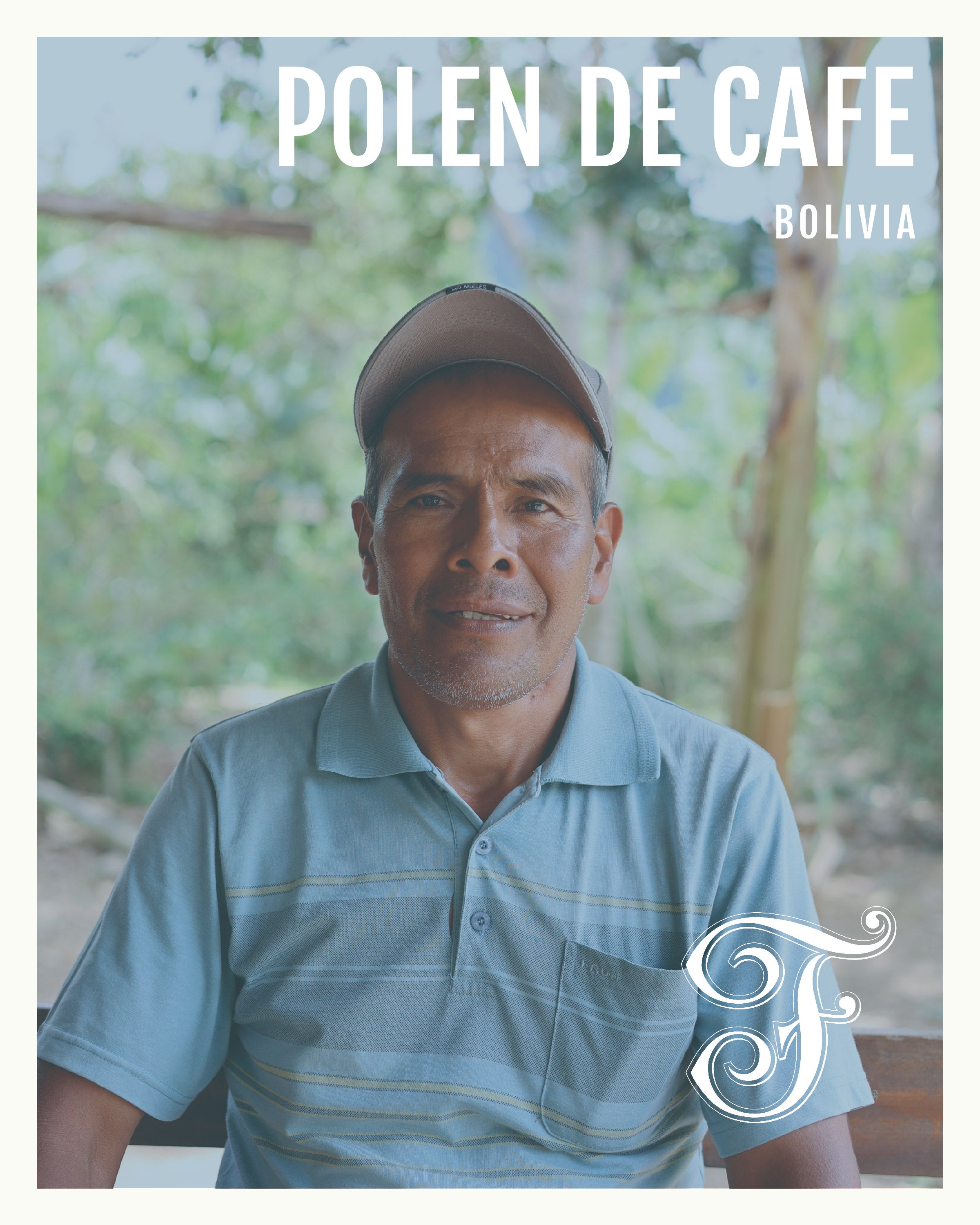 Bolivia Polen de Cafe