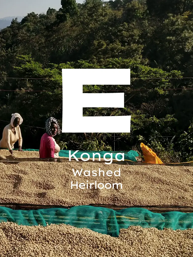 Etiyopya Konga