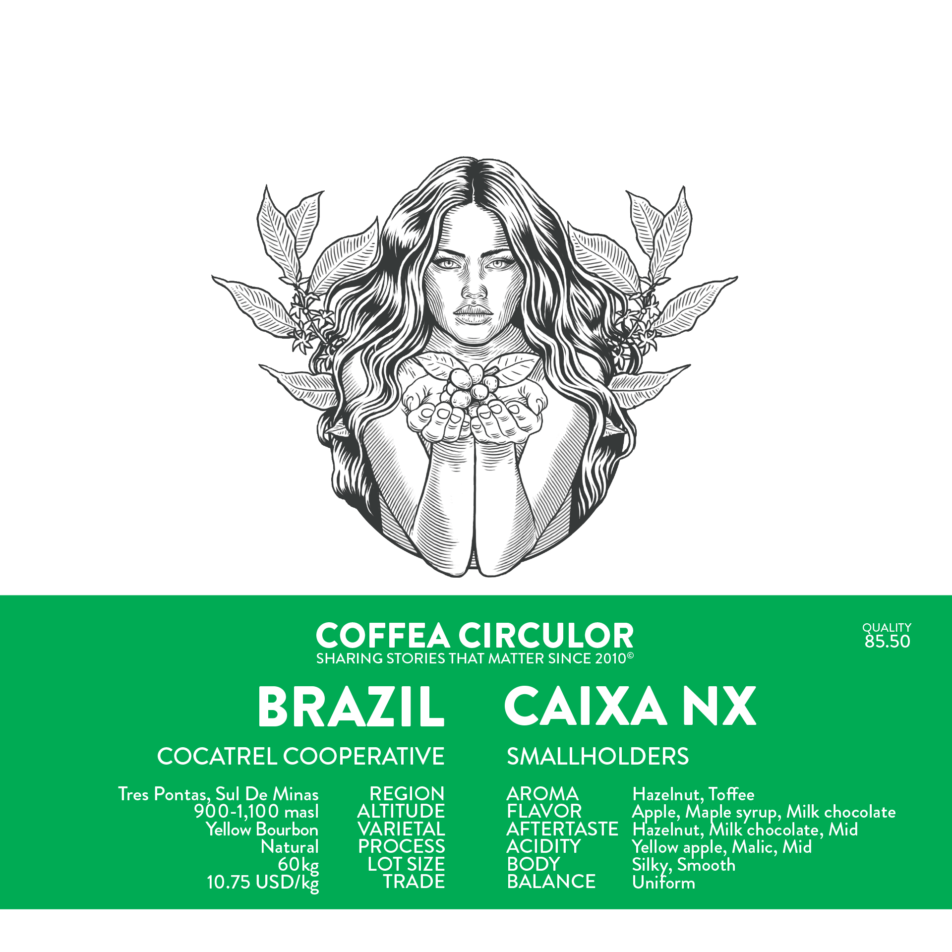 Brazil Caixa Yellow Bourbon Natural NX (Espresso)