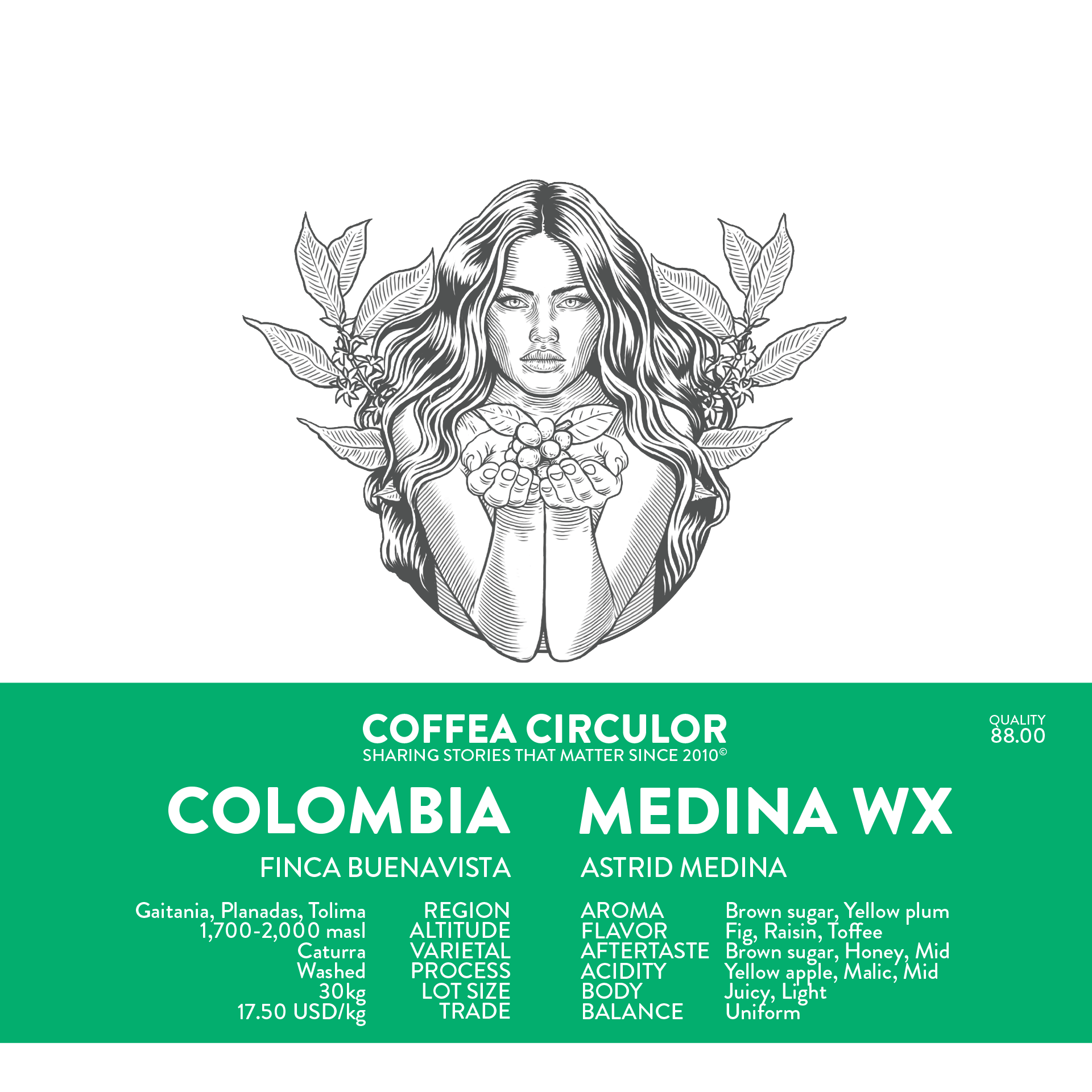Colombia Medina Washed WX