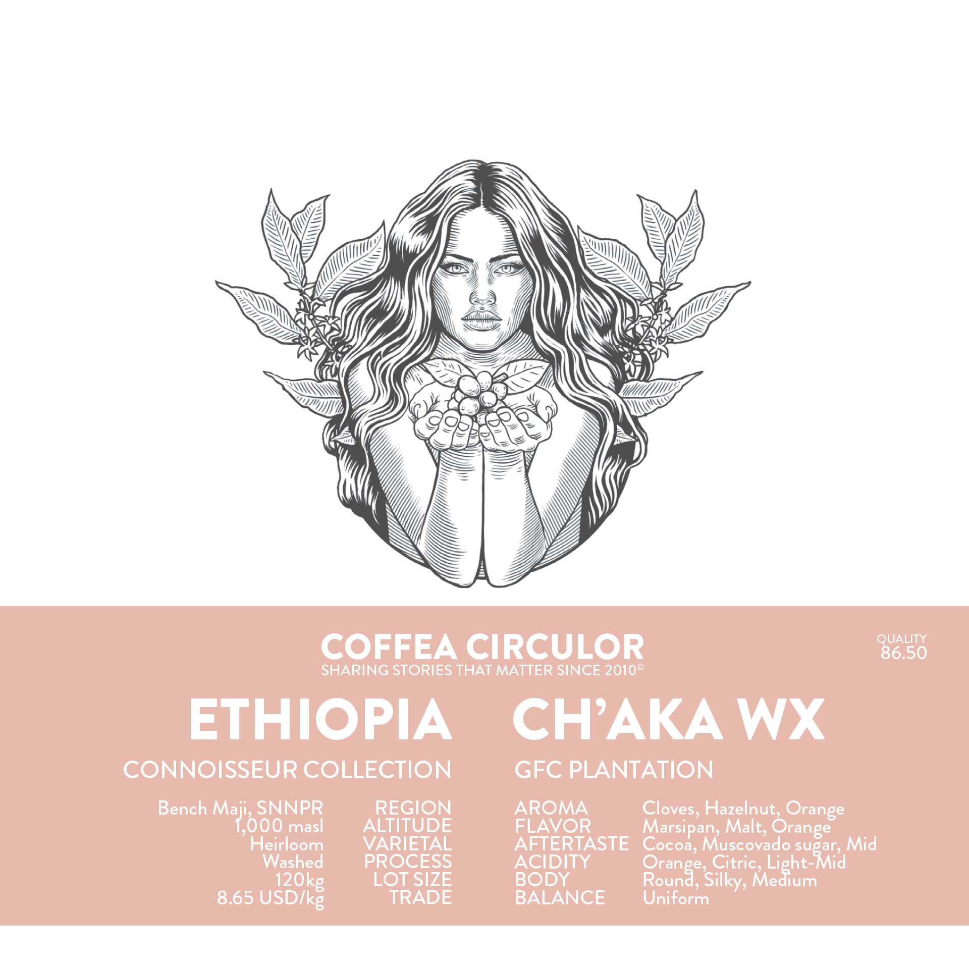 Ethiopia Chaka Washed WX (Espresso)