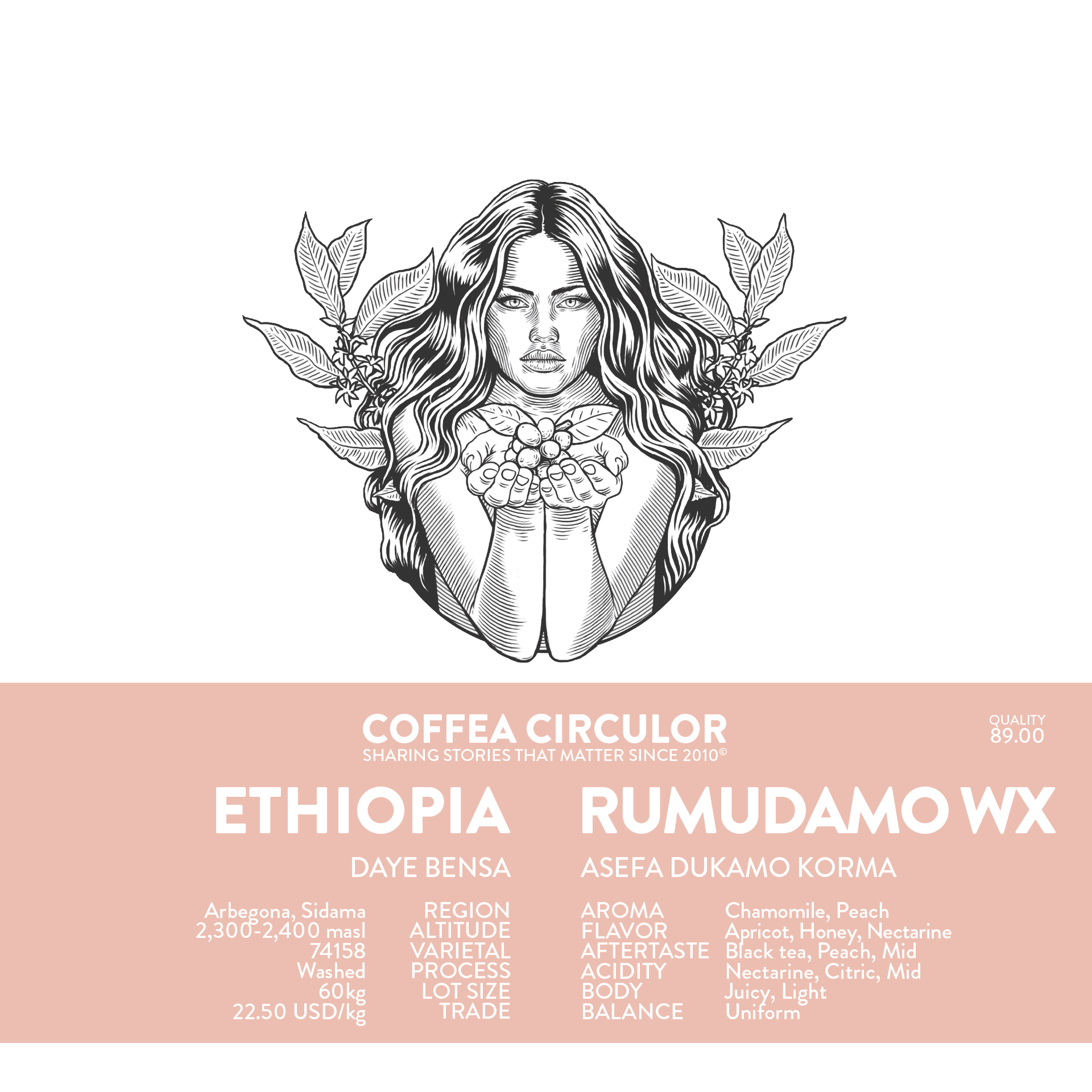 Ethiopia Daye Bensa Rumudamo Washed WX