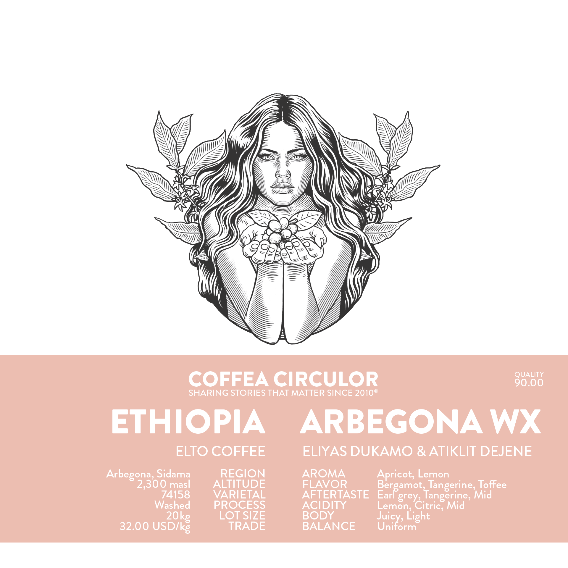 Ethiopia Elto Arbegona Washed WX